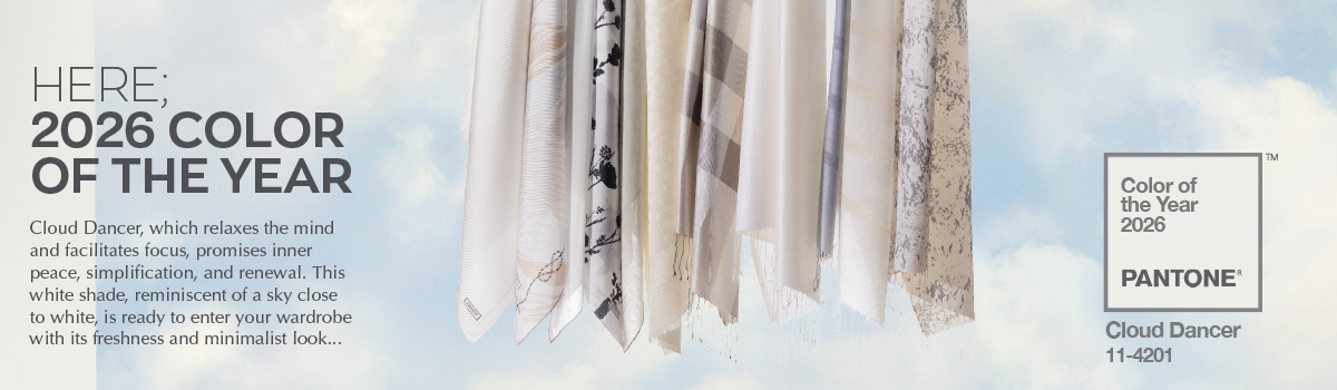 Y_DESKTOP_SEGMENT_EN.jpg (236 KB)