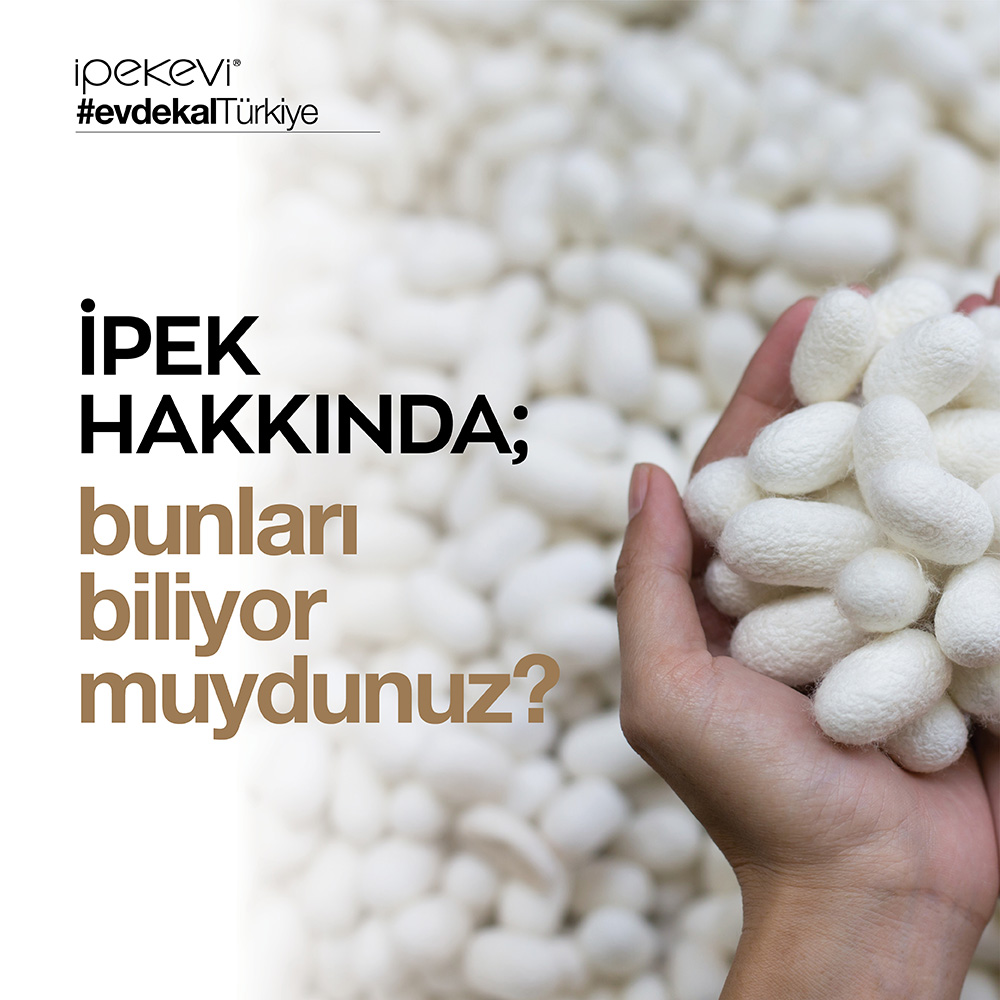 İpek Hakkında: Bunları Biliyor Muydunuz?