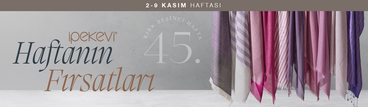 45_DESKTOP_SEGMENT_TR.jpg (256 KB)