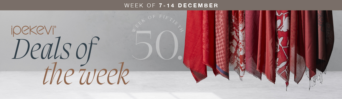 50_DESKTOP_SEGMENT_EN.jpg (255 KB)