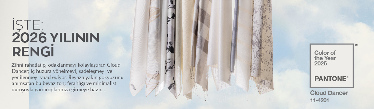 Y_DESKTOP_SEGMENT_TR.jpg (233 KB)