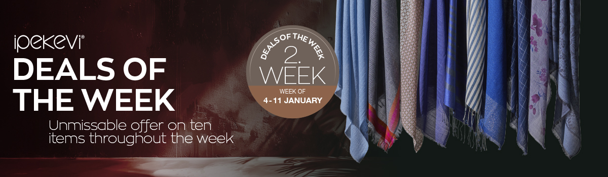 2_DESKTOP_SEGMENT_EN.jpg (289 KB)