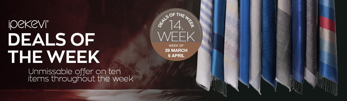 14_DESKTOP_SEGMENT_EN.jpg (267 KB)