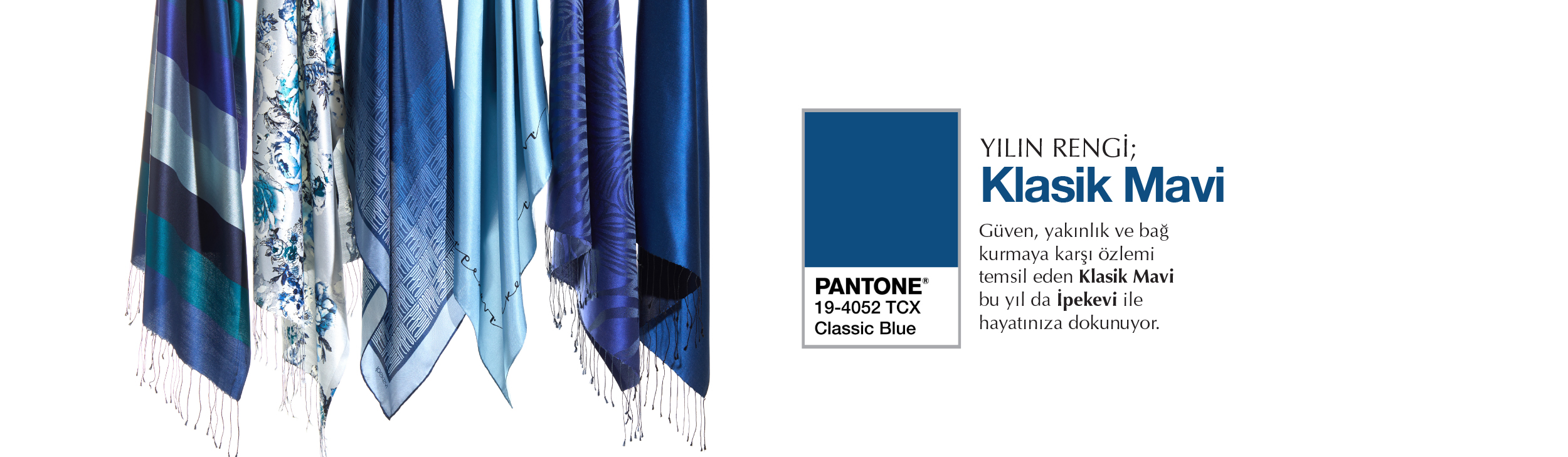 PANTONE_SEGMENT_BANNER_DESKTOP_TR.jpg (102 KB)