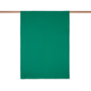  - All Seasons Emerald Leopar Print Monogram Scarf (1)