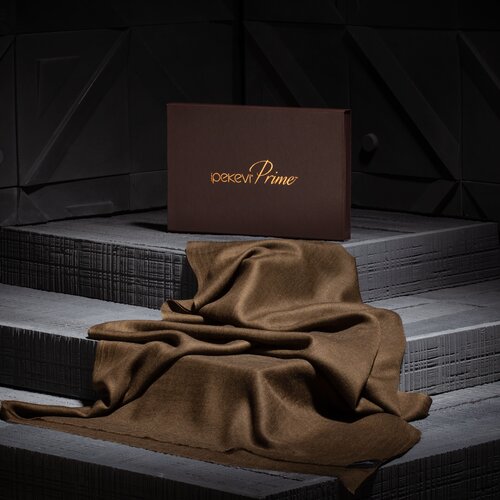 Ashy Brown Cashmere Wool Silk Prime Scarf