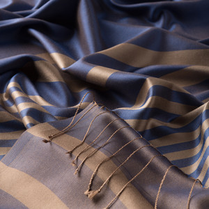 Denim Blue Meridian Striped Silk Scarf - Thumbnail