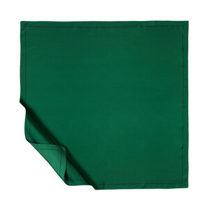 Emerald Green Frame Silk Twill Scarf - Thumbnail