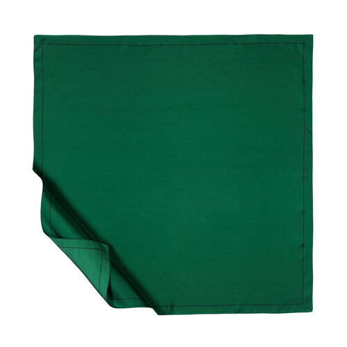 Emerald Green Frame Silk Twill Scarf