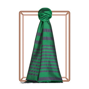Emerald Meridian Striped Silk Scarf - Thumbnail