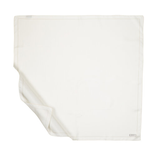 Light Cream Frame Silk Twill Scarf