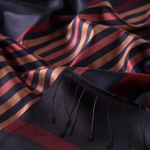 Navy Thin Meridian Striped Silk Scarf - Thumbnail
