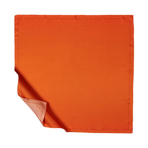 Orange Frame Silk Twill Scarf - Thumbnail