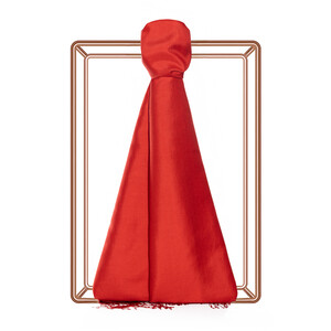 ipekevi - Red Silk Scarf