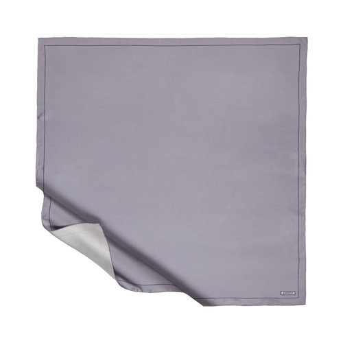 Silver Frame Silk Twill Scarf